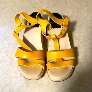 Hasbeens T strap clogs, NWOB🔥sale